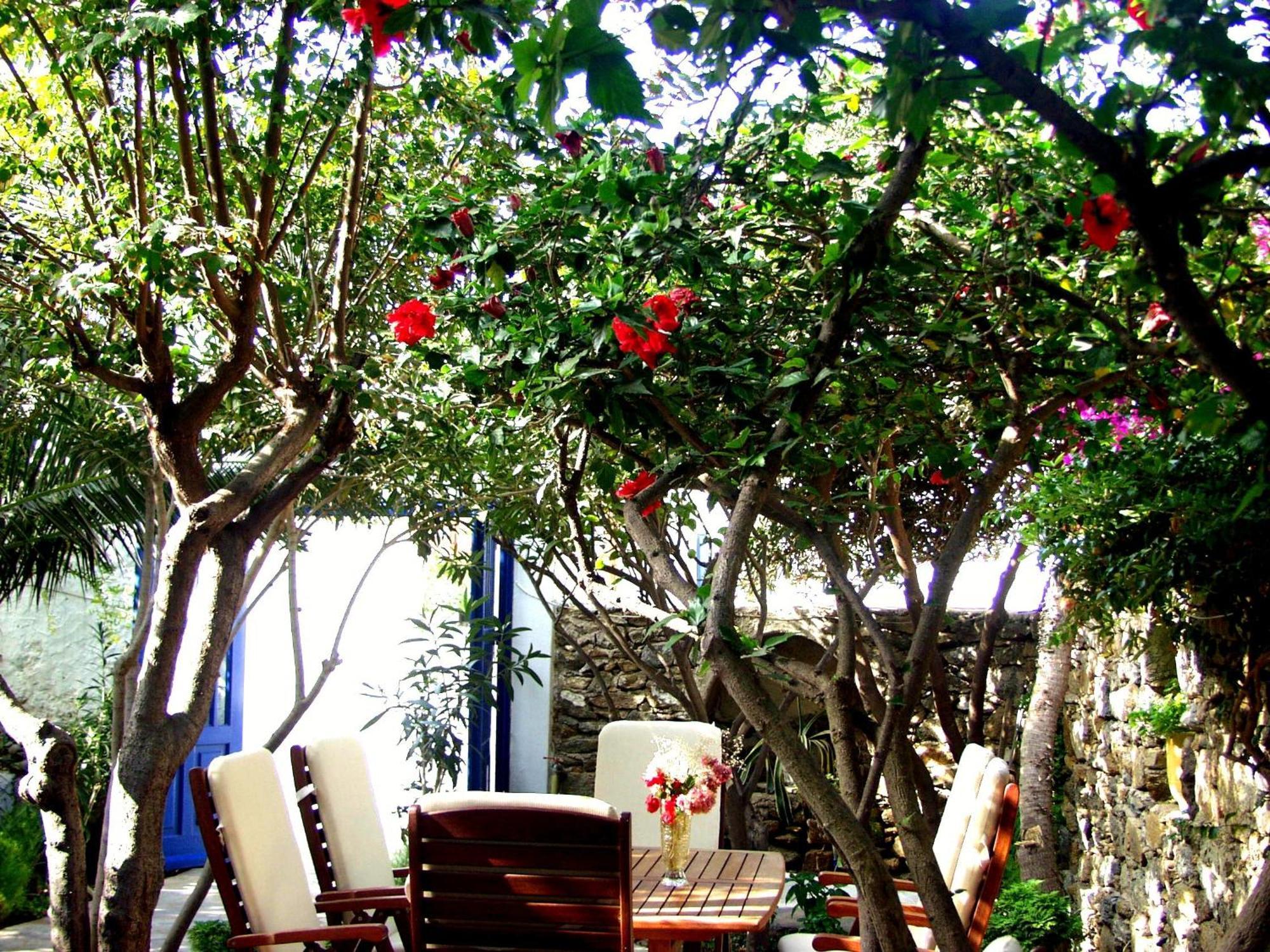 酒店 马蒂纳酒店 Mykonos Town